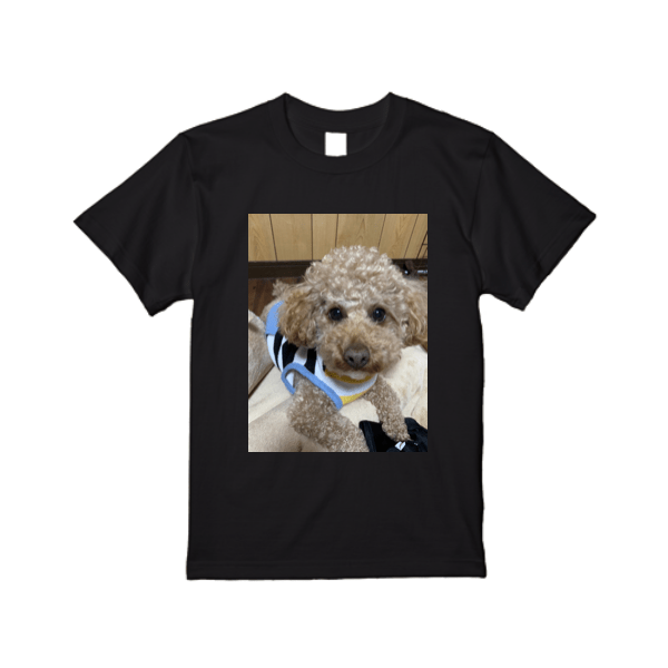 5.6オンス ハイクオリティー Tシャツ