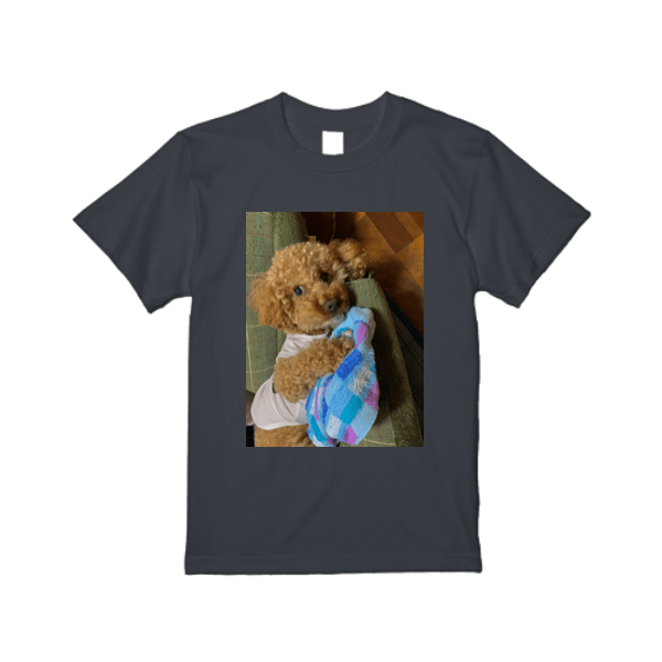 5.6オンス ハイクオリティー Tシャツ
