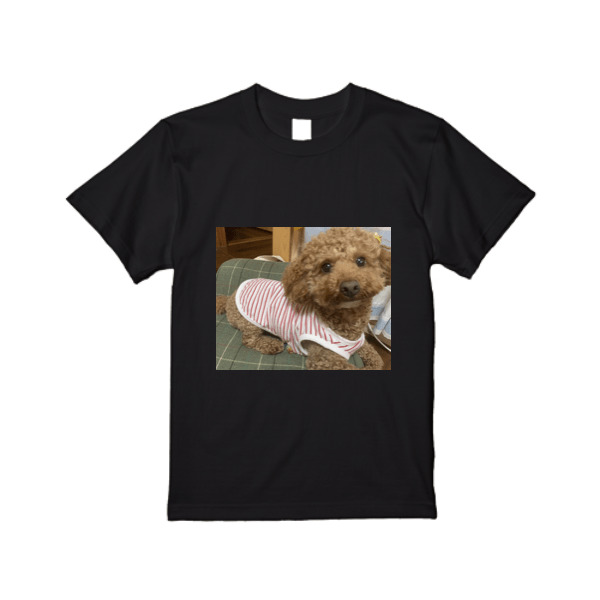 5.6オンス ハイクオリティー Tシャツ