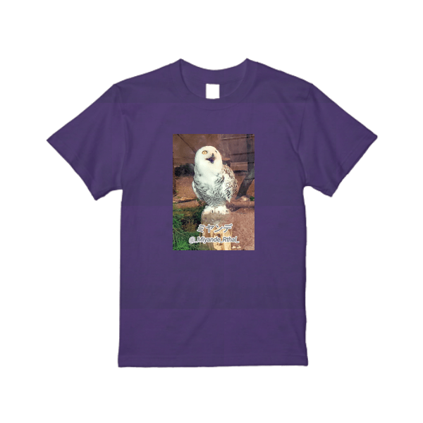 5.6オンス ハイクオリティー Tシャツ