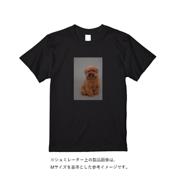 5.6オンス ハイクオリティーTシャツ