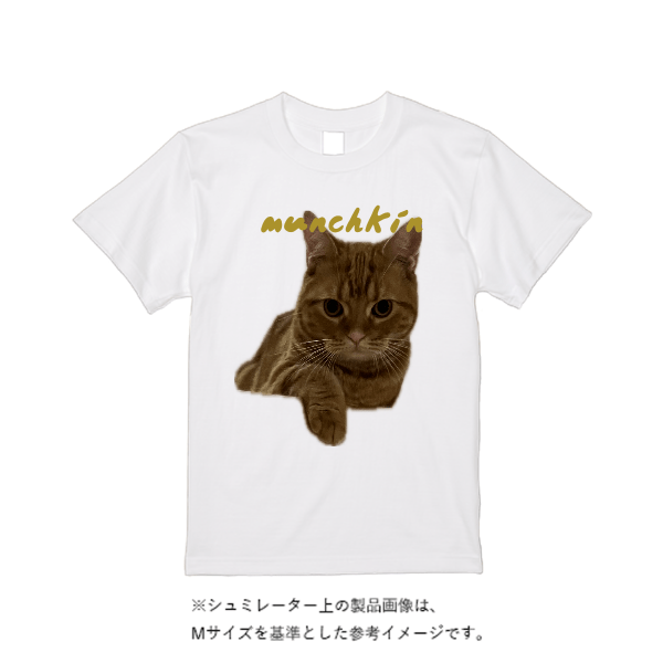 4.1オンス ドライアスレチックTシャツ