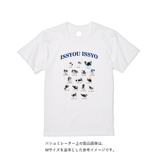 5.6オンス ハイクオリティーTシャツ
