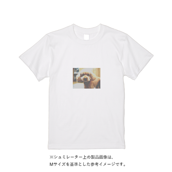 5.6オンス ハイクオリティーTシャツ