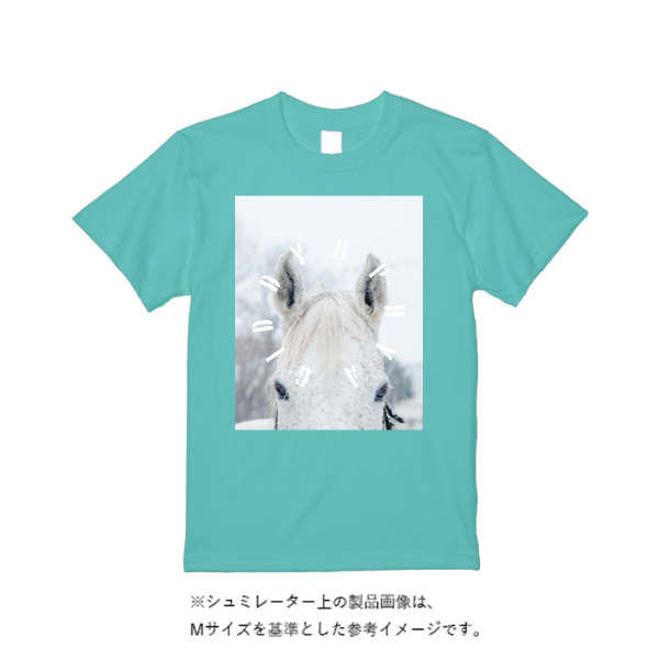 6.1oz ガーメントダイTシャツ