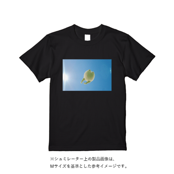 5.6オンス ヘビーウエイトTシャツ(定番カラー)