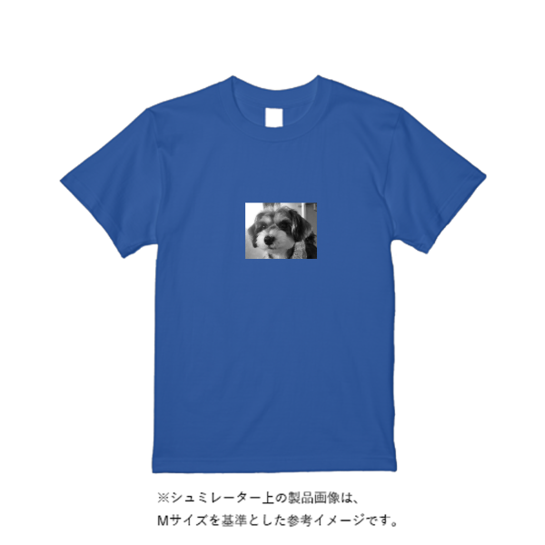 4.4オンス ドライ Tシャツ(定番カラー)