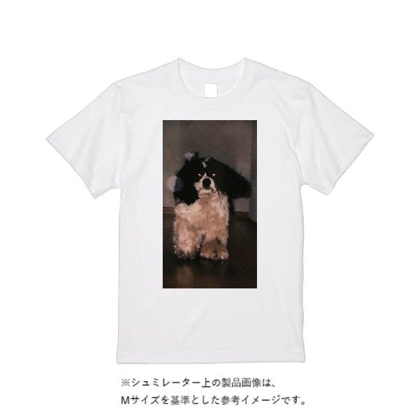 5.6オンス ヘビーウエイトTシャツ(定番カラー)