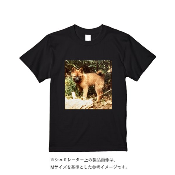 5.0オンスベーシックTシャツ - タカハマライフアート