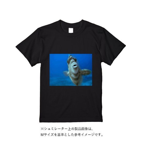 5.6オンス ヘビーウエイトTシャツ(定番カラー) - タカハマライフアート