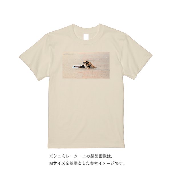 5.6オンス ハイクオリティーTシャツ(トレンドカラー) - タカハマライフアート
