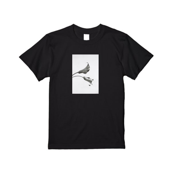 6.2オンス プレミアム Tシャツ - タカハマライフアート