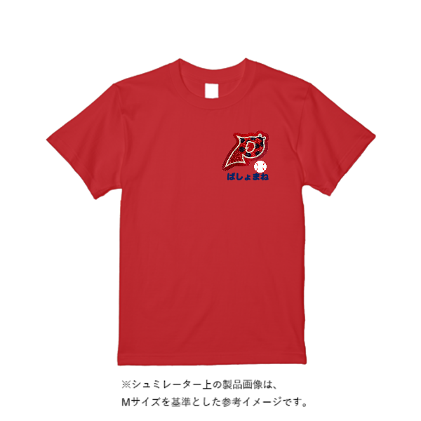 【4営業日発送】特急Tシャツ