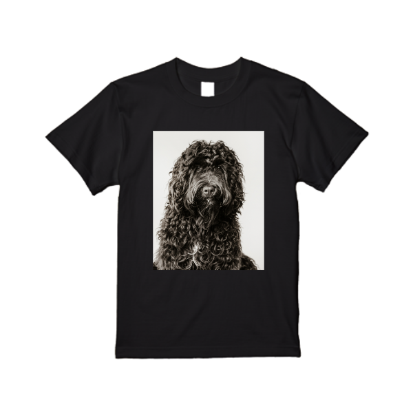 【即日発送】超特急Tシャツ - ブラック