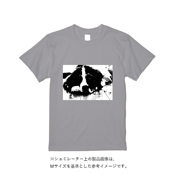 《ドライ素材定番No.1》 4.4オンス ドライ Tシャツ(定番カラー)