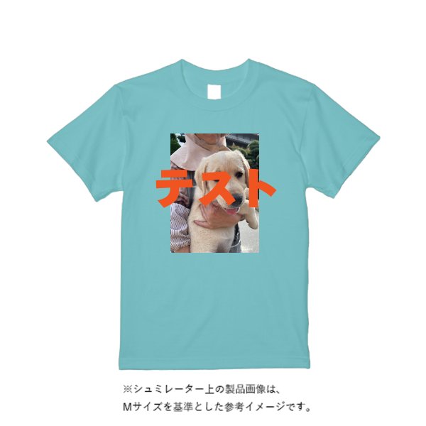 《ドライ素材定番No.1》 4.4オンス ドライ Tシャツ(定番カラー) - タカハマライフアート