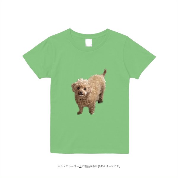 《ドライ素材定番No.1》4.4オンス ドライ Tシャツ(レディース) - タカハマライフアート