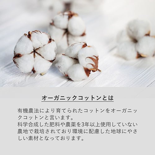 【ネーム刺繍】コットンポーチ - タカハマライフアート