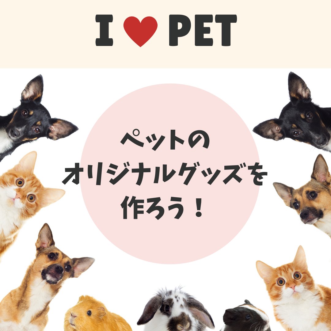 ペットのオリジナルグッズの魅力を紹介！種類や安く作る方法を解説 - タカハマライフアート