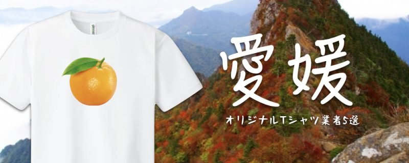 愛媛のオリジナルTシャツ業者5選 - タカハマライフアート