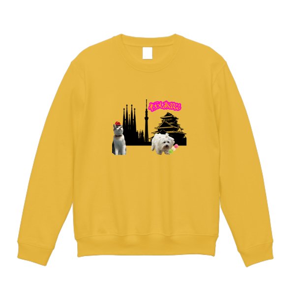 10.0オンス ドライ裏フリーストレーナー - タカハマライフアート