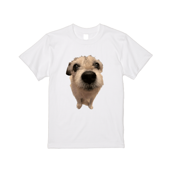 5.6オンス ハイクオリティー Ｔシャツ(レディース)