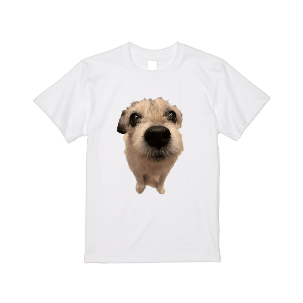 5.6オンス ハイクオリティー Ｔシャツ(レディース)