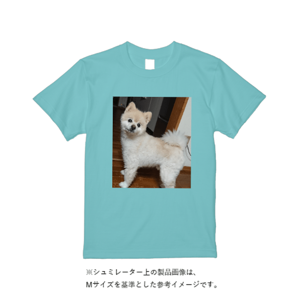 5.6オンス ハイクオリティーＴシャツ