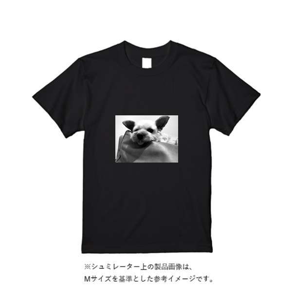 5.6オンス ハイクオリティーＴシャツ