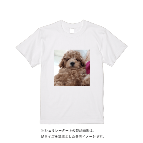 5.6オンス ハイクオリティーＴシャツ