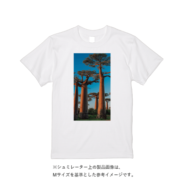 5.6オンス ハイクオリティーＴシャツ