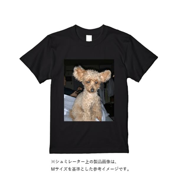 5.6オンス ヘビーウエイトＴシャツ（定番カラー）
