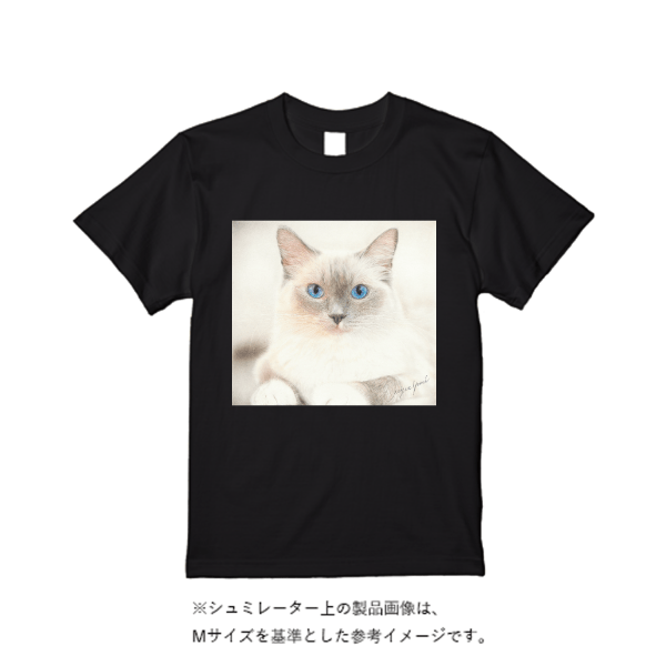 6.2オンス プレミアム Ｔシャツ