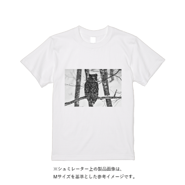 5.6オンス ハイクオリティーＴシャツ