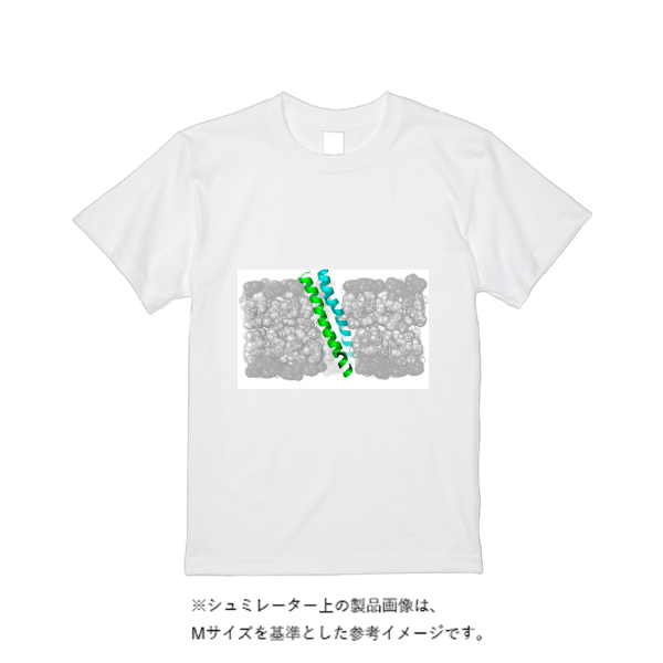 5.6オンス ヘビーウエイトＴシャツ（定番カラー）