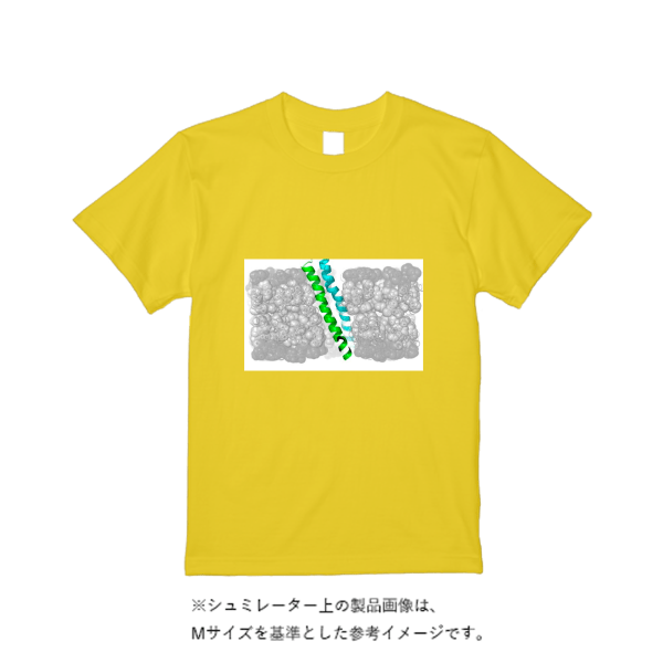5.6オンス ハイクオリティーＴシャツ