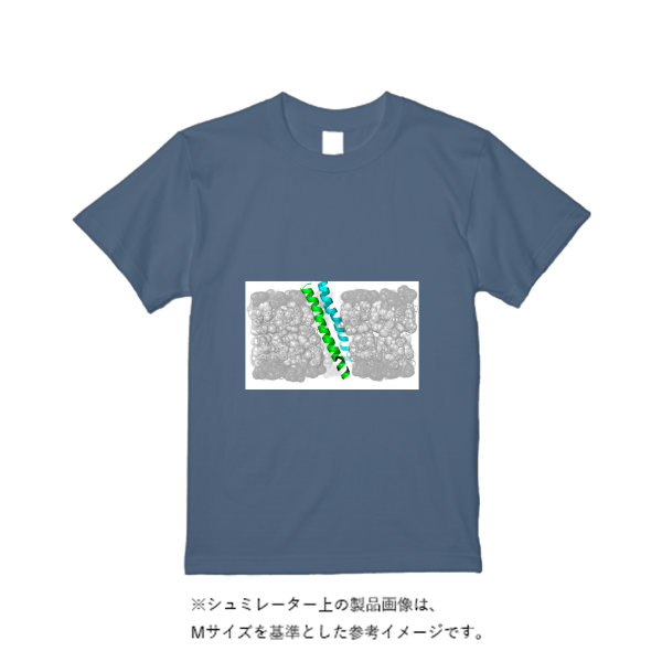 5.6オンス ヘビーウエイトＴシャツ（トレンドカラー）