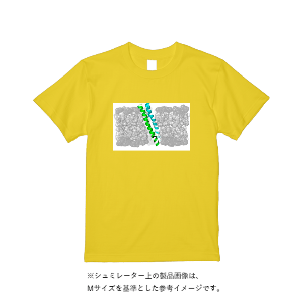 6.2オンス プレミアム Ｔシャツ