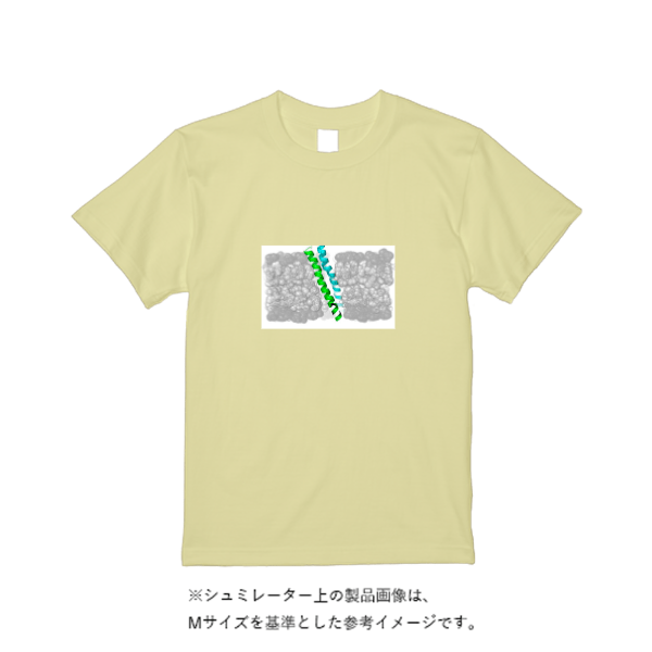 5.6オンス ハイクオリティーＴシャツ（トレンドカラー）