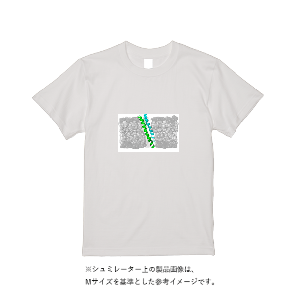 5.6オンス ハイクオリティーＴシャツ（トレンドカラー）