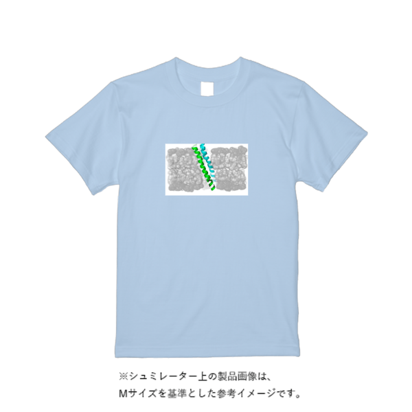 6.2オンス プレミアム Ｔシャツ
