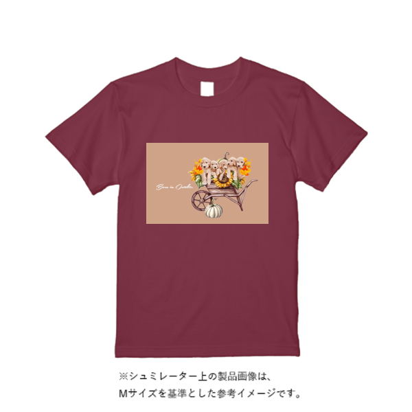 5.6オンス ヘビーウエイトＴシャツ（定番カラー）