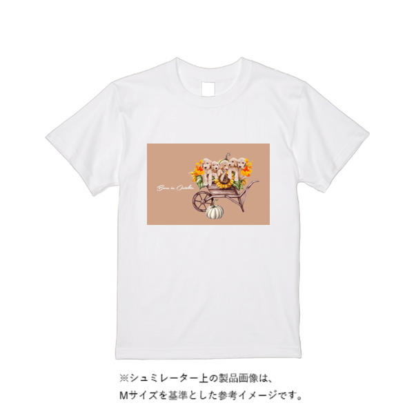 5.6オンス ヘビーウエイトＴシャツ（定番カラー）