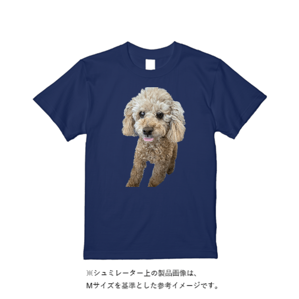 5.6オンス ハイクオリティーＴシャツ