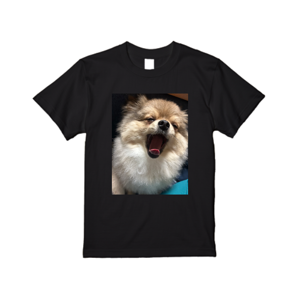 【即日発送】超特急Tシャツ - ブラック