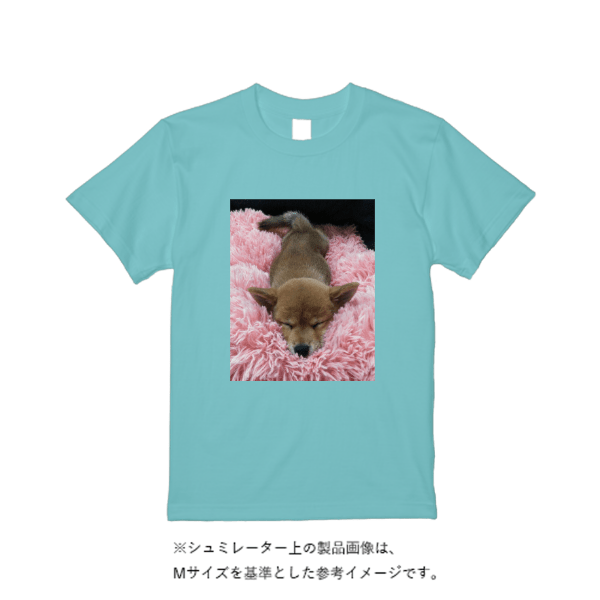 4.4オンス ドライ Ｔシャツ（定番カラー）