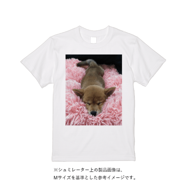4.4オンス ドライ Ｔシャツ（定番カラー）