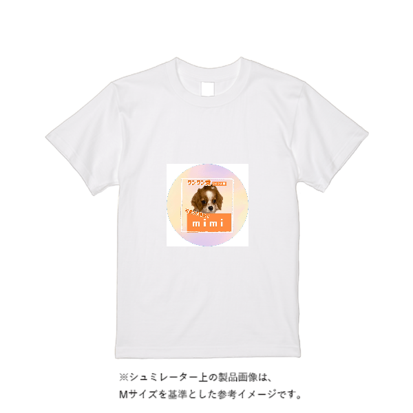 5.6オンス ヘビーウエイトＴシャツ（定番カラー）