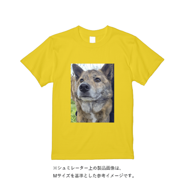 5.6オンス ヘビーウエイトＴシャツ（定番カラー）