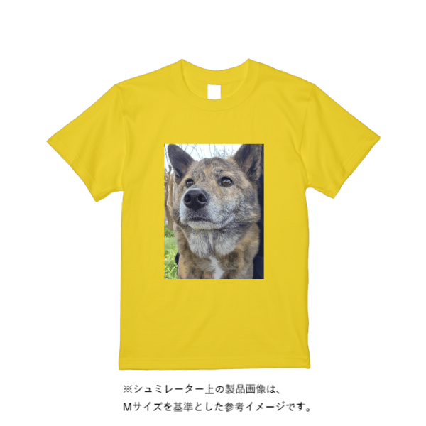 5.6オンス ヘビーウエイトＴシャツ（定番カラー）